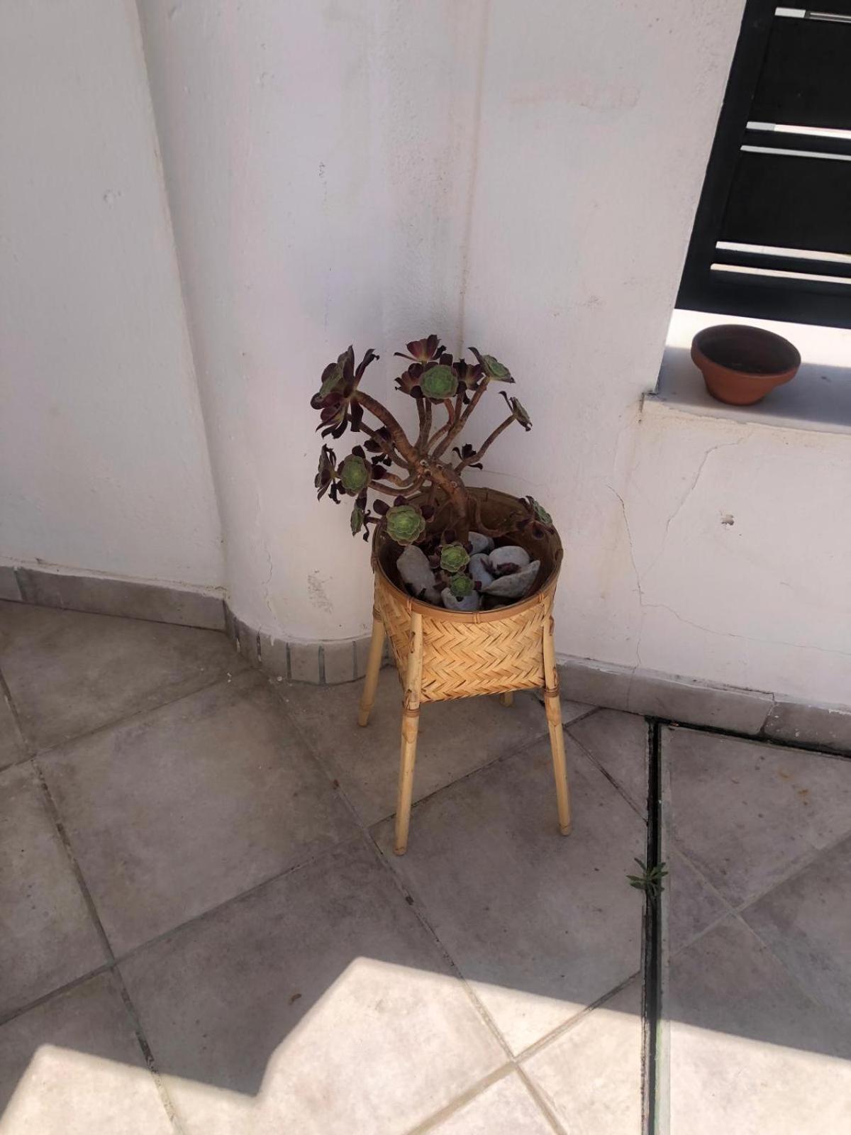 Casa Kava Apartment Hotel Resort Near Cabopino NO CAR NEEDED Marbella Exterior foto