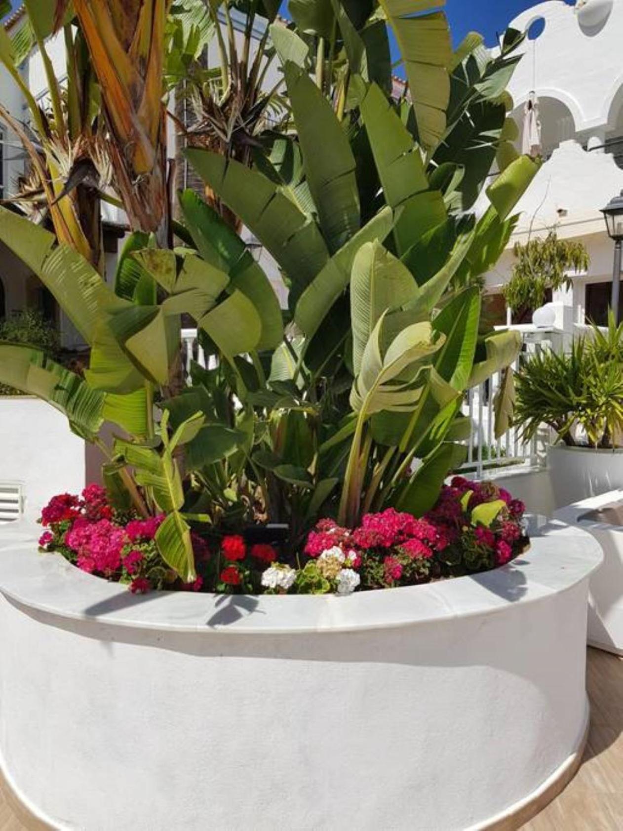 Casa Kava Apartment Hotel Resort Near Cabopino NO CAR NEEDED Marbella Exterior foto
